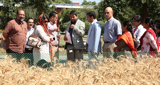 Home -WorldTAP  Connecting Afganistan Student to India Agriculture University